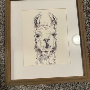 Framed Llama Art Print